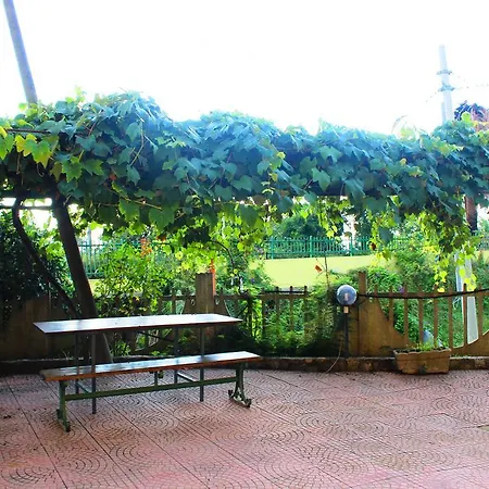 Il Mandorlo *