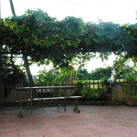 Il Mandorlo