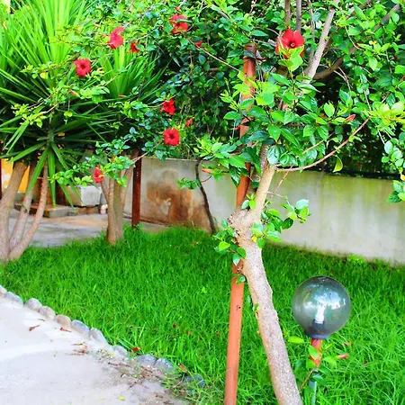 Apartamento Il Mandorlo *